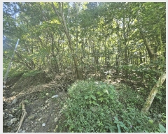  2025Ÿ��73095 ��� ��õ�� ������ ������ ��30      ����(�Ӿ�)���