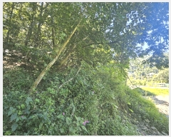  2025Ÿ��73095 ��� ��õ�� ������ ������ ��30      ����(�Ӿ�)���