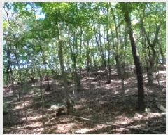  2025Ÿ��73095 ��� ��õ�� ������ ������ ��30      ����(�Ӿ�)���