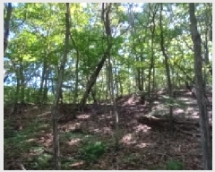  2025Ÿ��73095 ��� ��õ�� ������ ������ ��30      ����(�Ӿ�)���