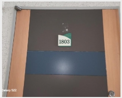  2025Ÿ��73152  ����Ʈ���