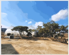  2025Ÿ��73560 ��� ��õ�� ������ 64       ����(��)���