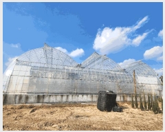  2025Ÿ��73560 ��� ��õ�� ������ 64       ����(��)���