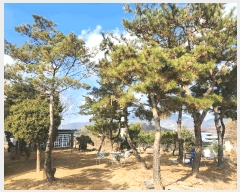  2025Ÿ��73560 ��� ��õ�� ������ 64       ����(��)���