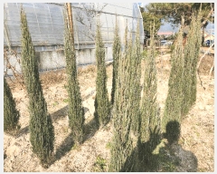  2025Ÿ��73560 ��� ��õ�� ������ 64       ����(��)���