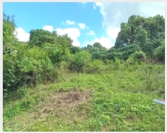  2025Ÿ��3824 ��� ��õ�� ������ �ո��� 805      ����(��1)���