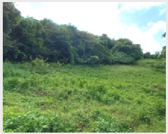  2025Ÿ��3824 ��� ��õ�� ������ �ո��� 805      ����(��1)���