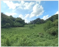  2025Ÿ��3824 ��� ��õ�� ������ �ո��� 805      ����(��1)���