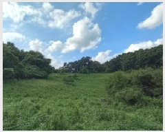  2025Ÿ��3824 ��� ��õ�� ������ �ո��� 805      ����(��1)���