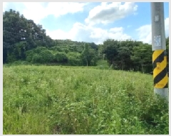  2025Ÿ��3824 ��� ��õ�� ������ �ո��� 805      ����(��1)���