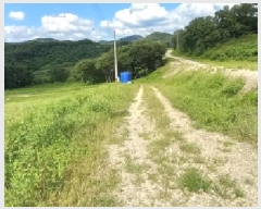  2025Ÿ��3824 ��� ��õ�� ������ �ո��� 805      ����(��1)���