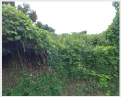  2025Ÿ��3824 ��� ��õ�� ������ �ո��� 805      ����(��1)���