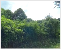  2025Ÿ��3824 ��� ��õ�� ������ �ո��� 805      ����(��1)���