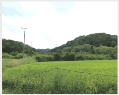  2025Ÿ��4018 ��� ��õ�� �ż��� ������ 909      ����(��)���