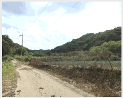  2025Ÿ��4018 ��� ��õ�� �ż��� ������ 929      ����(��1)���