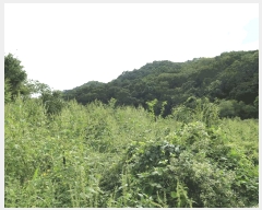  2025Ÿ��4018 ��� ��õ�� �ż��� ������ 929      ����(��1)���