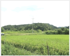  2025Ÿ��4018 ��� ��õ�� �ż��� ������ 929      ����(��1)���