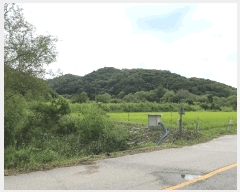  2025Ÿ��4018 ��� ��õ�� �ż��� ������ 929      ����(��1)���