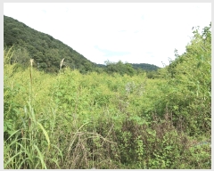  2025Ÿ��4018 ��� ��õ�� �ż��� ������ 929      ����(��1)���