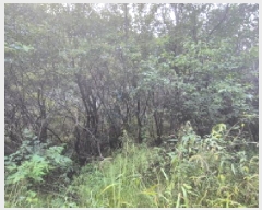  2025Ÿ��4018 ��� ��õ�� �ż��� ������ 929      ����(��1)���