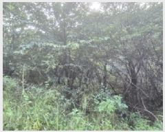  2025Ÿ��4018 ��� ��õ�� �ż��� ������ 929      ����(��1)���