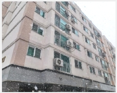  2025Ÿ70213  ν ȣ 1049, 103 6 604ȣ (ɵ,Ÿũ)   ټ,