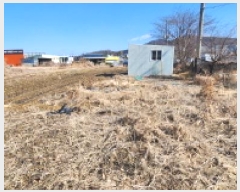  2025Ÿ71278  ֽ   623      (1)