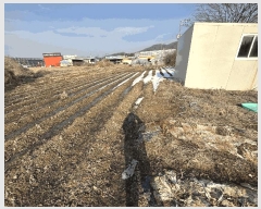  2025Ÿ71278  ֽ   623      (1)