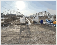  2025Ÿ71278  ֽ   623      (1)