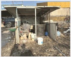  2025Ÿ71278  ֽ   623      (1)