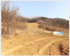  2025Ÿ��71690  �����