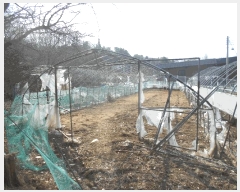  2025Ÿ��71763  �����