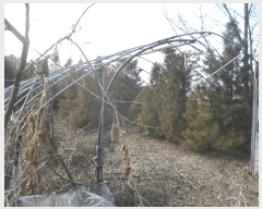  2025Ÿ��71763  �����