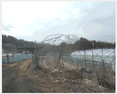  2025Ÿ��71763  �����