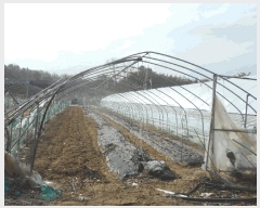  2025Ÿ��71763  �����