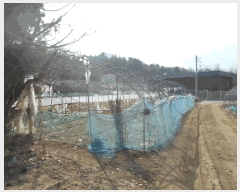  2025Ÿ��71763  �����