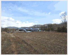  2025Ÿ��71992 ��� ��õ�� �źϸ� ����� 543      ����(��)���