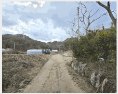  2025Ÿ��71992 ��� ��õ�� �źϸ� ����� 543      ����(��)���