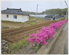  2025Ÿ��72059  �����