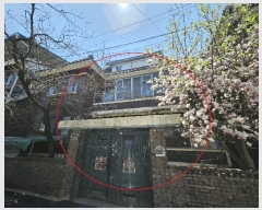  2025Ÿ��72095 ��� ����õ�� ������ 462-19       ���ð��