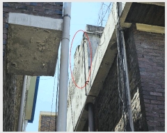  2025Ÿ��72095 ��� ����õ�� ������ 462-19       ���ð��