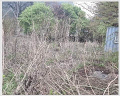  2025Ÿ��72112  �������