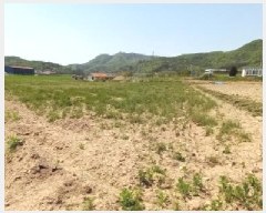  2025Ÿ��72170  �����