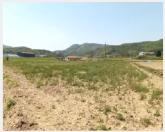  2025Ÿ��72170  �����