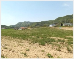  2025Ÿ��72170  �����