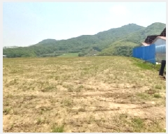  2025Ÿ��72207 ���� ö���� ö���� ���̸� 257-3      ����(��)���