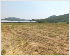  2025Ÿ��72207 ���� ö���� ö���� ���̸� 257-3      ����(��)���