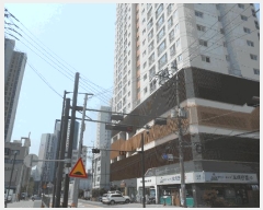  2025Ÿ��72341  ����Ʈ���