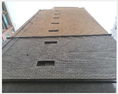  2025Ÿ��72362  �ټ���(����)���