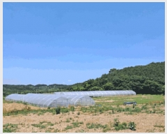  2025Ÿ��72407 ��� ��õ�� ��¡�� ������ 771      ����(��)���